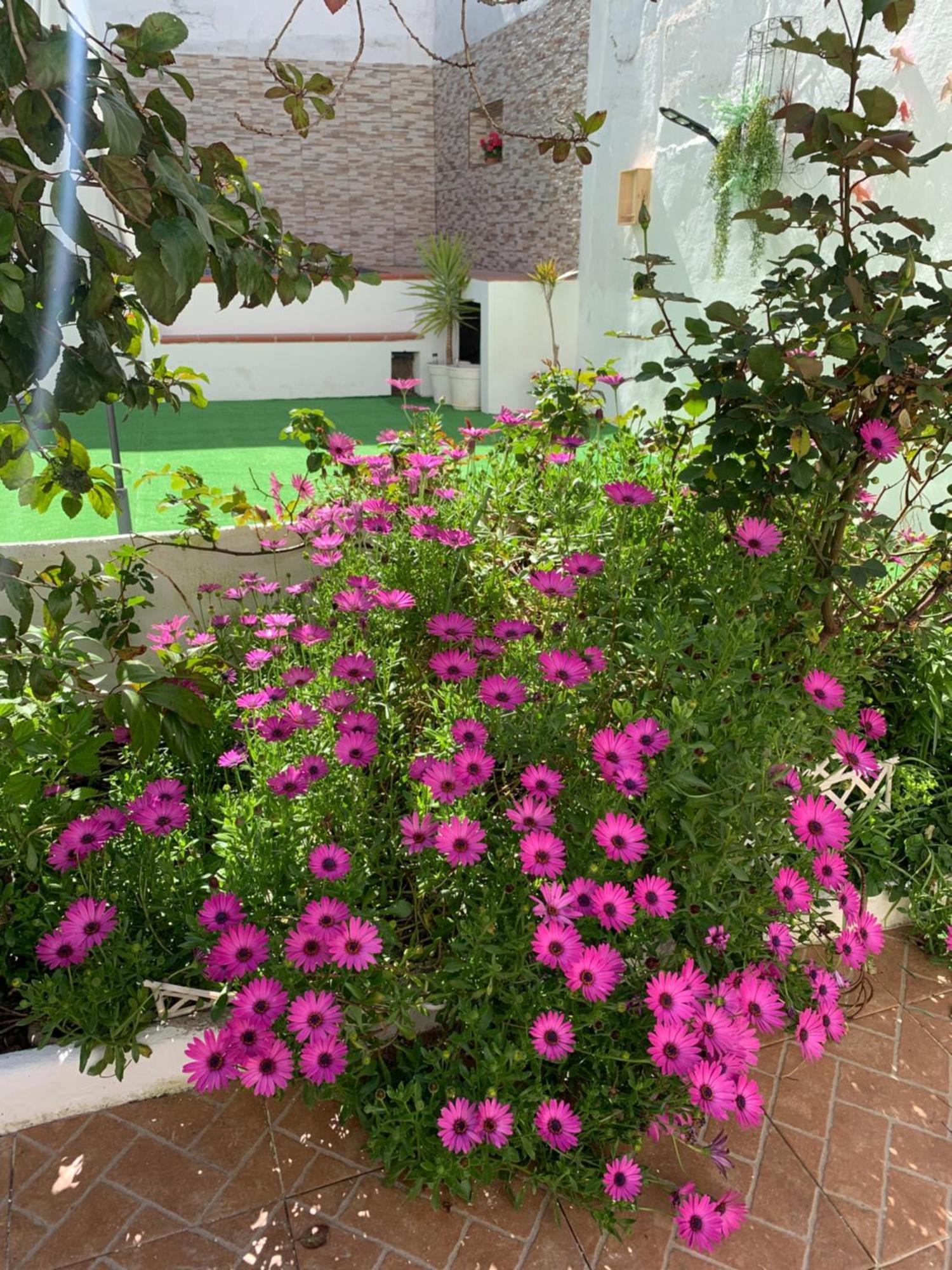Casa Dos Tios Estremoz-Veiros Villa Luaran gambar
